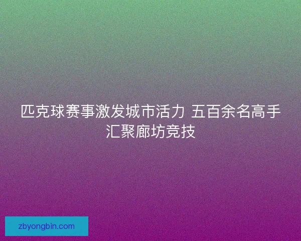 匹克球赛事激发城市活力 五百余名高手汇聚廊坊竞技